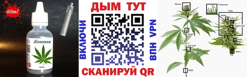 Купить закладки  Сретенск  Cannafood конопля 