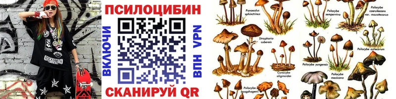 Галлюциногенные грибы Psilocybe  Купить закладки  Сретенск 